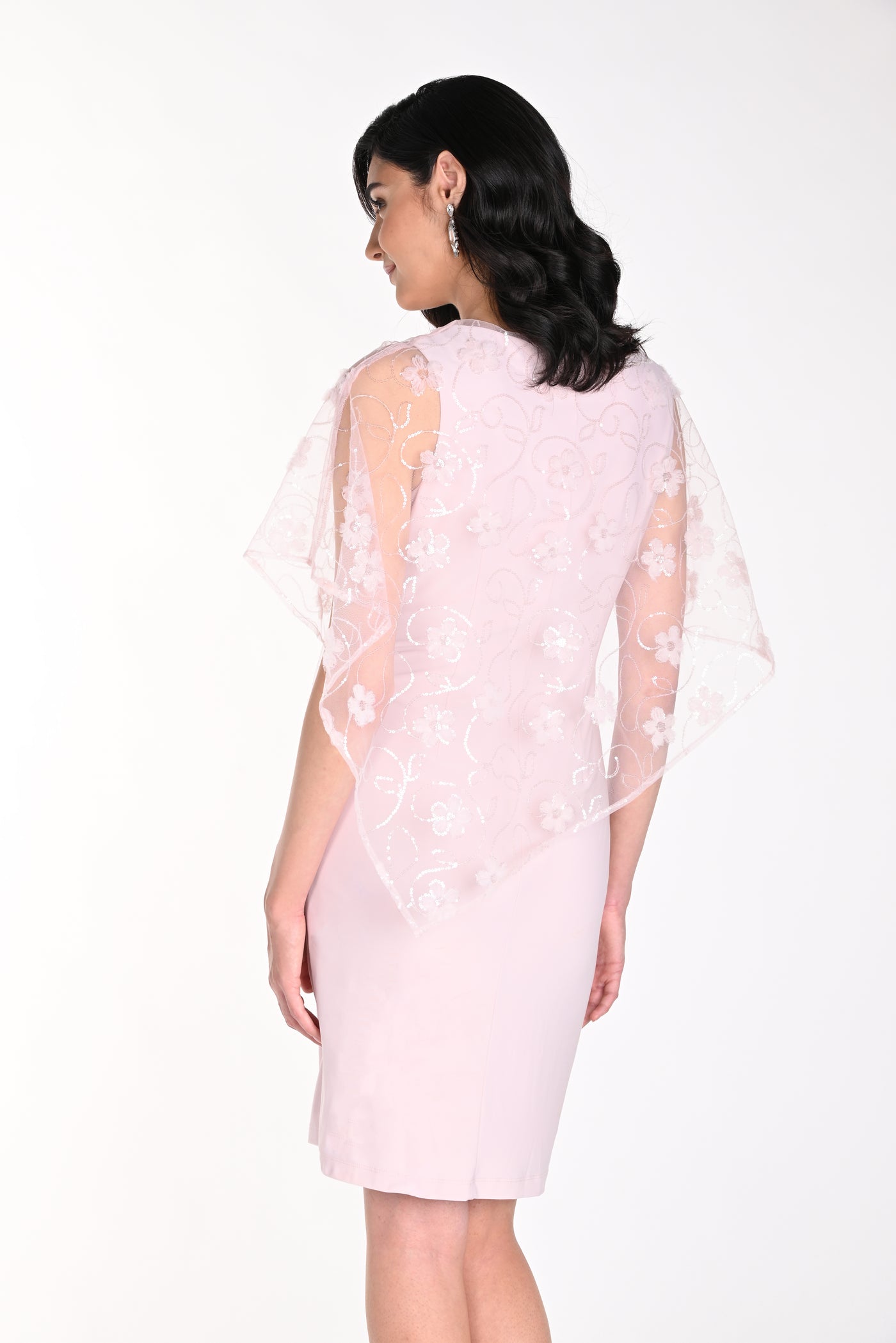 Laced Chiffon Overlay Dress Frank Lyman